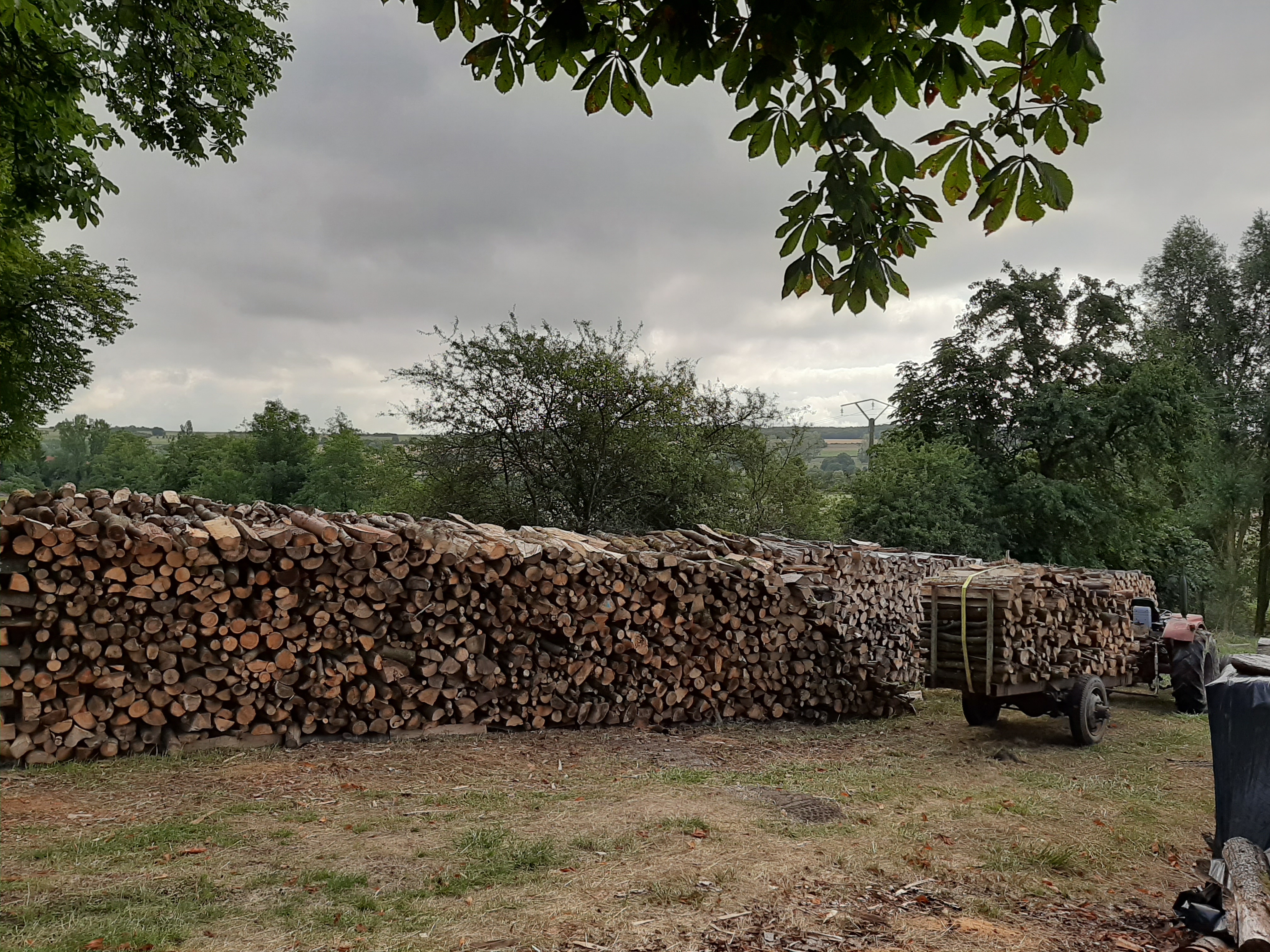 Photo bois de chauffage 2