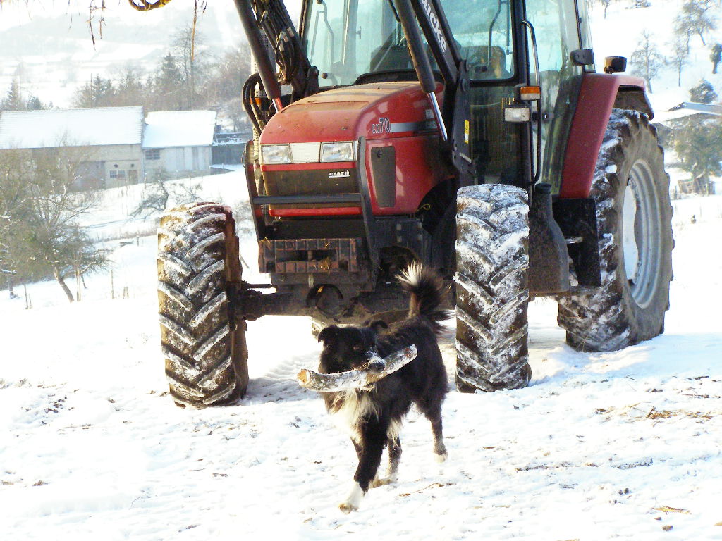 Rex et Case IH cx70